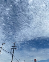 今日の天気